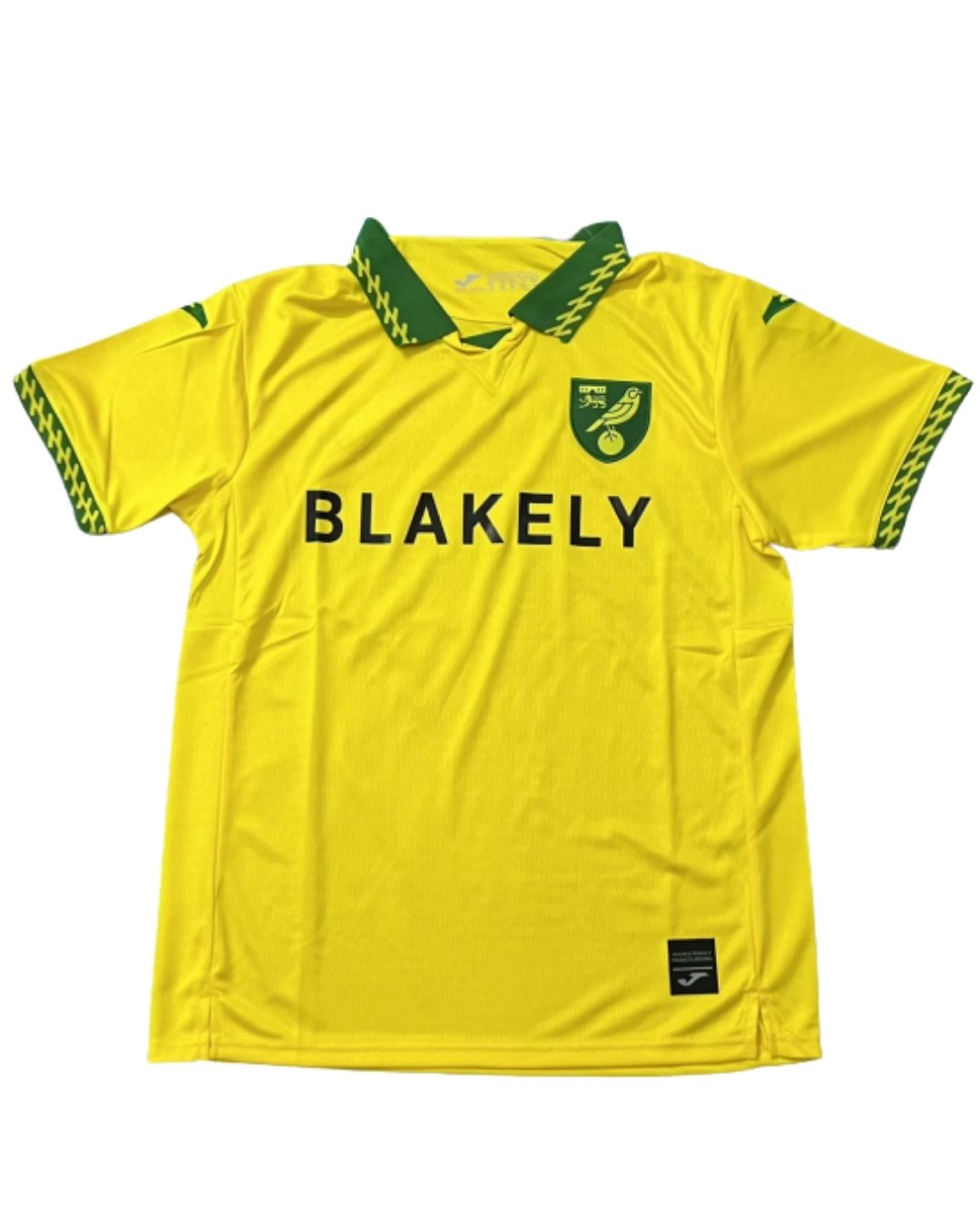 Norwich city 25/26 Home