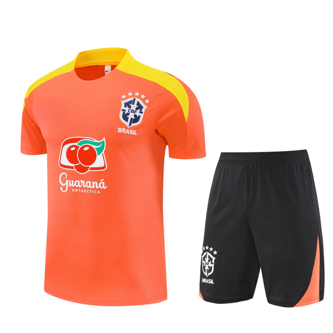 Brazil Trainingsset The NB-Store